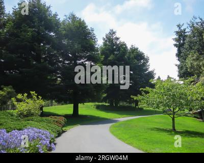 Presidio von San Francisco - in der Nähe der Chestnut St. Eingang Stockfoto