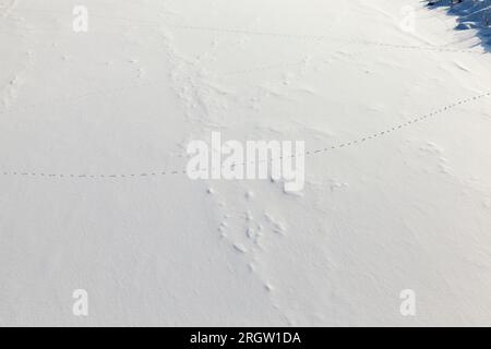 Große Schneewehen nach Schneefällen und Schneestürmen, die Wintersaison mit kaltem Wetter und vielen Niederschlägen in Form von Schnee Stockfoto