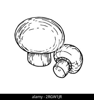 Champignons Pilze, Herbstkritzelhandzeichnung. Cut Champignons liegen auf dem Tisch. Lineare Vektorkontur für die Farbgebung. Für Aufkleber, Po Stock Vektor