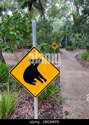 Ein typisches gelbes australisches Straßenschild, das vor der Überquerung der Koalas warnt, mit einer Warnung vor Kängurus im Hintergrund, auf Magnetic Island, Queensland Stockfoto