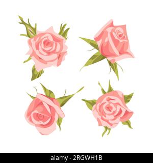 Set mit pinkfarbenen Rosen zum Valentinstag. Zarte Frühlingsblumen. Konstruktionselemente. Für Aufkleber, Poster, Karten, Hochzeitseinladungen. Stock Vektor