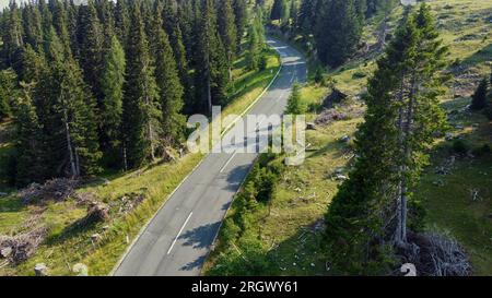 Eine atemberaubende Luftaufnahme von einer Drohne, die die atemberaubende Schönheit des Alpenwaldes und eine gewundene Straße inmitten der majestätischen Alpen zeigt Stockfoto