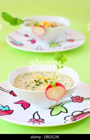 Sommerliche kalte Suppe (Oroshka) mit Gemüse, Fleisch und Eiern Stockfoto