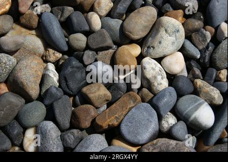 Hintergrund aus farbigen Kieselsteinen. Fragment eines steinigen sonnigen Strandes. Stockfoto