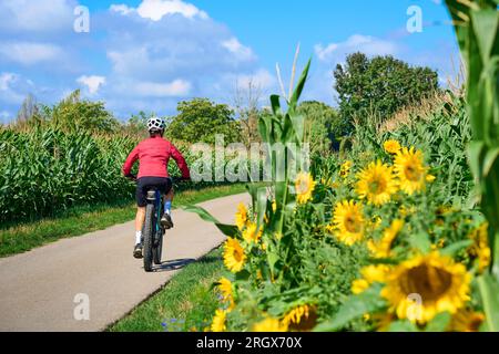 Eine nette Seniorin, die mit ihrem elektrischen Mountainbike in einem blühenden Blumenfeld radelt Stockfoto