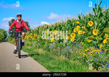 Eine nette Seniorin, die mit ihrem elektrischen Mountainbike in einem blühenden Blumenfeld radelt Stockfoto