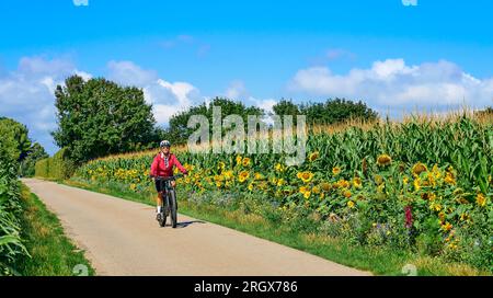 Eine nette Seniorin, die mit ihrem elektrischen Mountainbike in einem blühenden Blumenfeld radelt Stockfoto