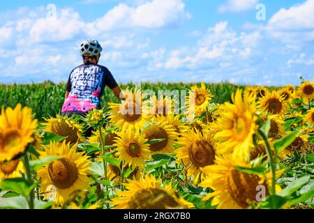 Eine nette Seniorin, die mit ihrem elektrischen Mountainbike in einem blühenden Blumenfeld radelt Stockfoto
