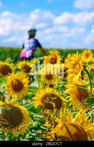 Eine nette Seniorin, die mit ihrem elektrischen Mountainbike in einem blühenden Blumenfeld radelt Stockfoto