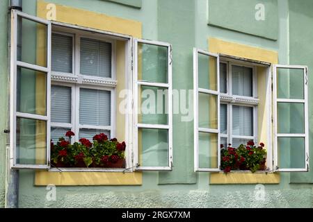 Zwei alte Fenster mit Jalousien, die mit Blumentöpfen an der Fassade eines alten Gebäudes dekoriert sind. Nahaufnahme. Speicherplatz kopieren. Selektiver Fokus. Stockfoto
