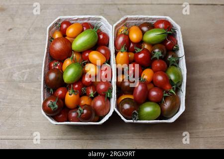 Eine Auswahl an frischen, mehrfarbigen Tomaten auf einem Holztisch Stockfoto