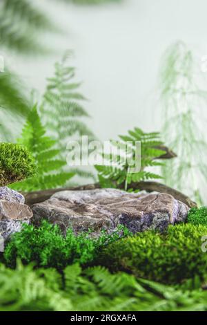 Natürliches Felsenpodium im Wald mit Farn und Moos. Leerer Schaukasten für die Produktpräsentation. Natürlicher Hintergrund. Stockfoto