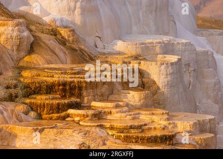 Die Terrasse der Kanarischen Quellen ist im Yellowstone NP aus heißem Wasser geformt Stockfoto