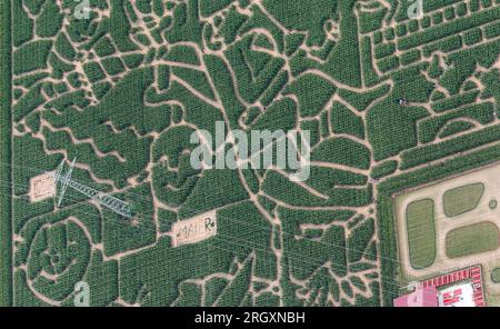 12. August 2023, Baden-Württemberg, Neustetten: Blick auf das Maislabyrinth Wolfenhausen. Das mehr als 30000 Quadratmeter große Labyrinth zeigt Geschichten von Max und Moritz. (Aufnahme aus einem Flugzeug) Foto: Thomas Warnack/dpa Stockfoto