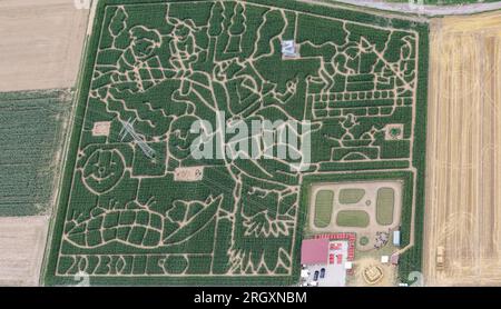 12. August 2023, Baden-Württemberg, Neustetten: Blick auf das Maislabyrinth Wolfenhausen. Das mehr als 30000 Quadratmeter große Labyrinth zeigt Geschichten von Max und Moritz. (Aufnahme aus einem Flugzeug) Foto: Thomas Warnack/dpa Stockfoto