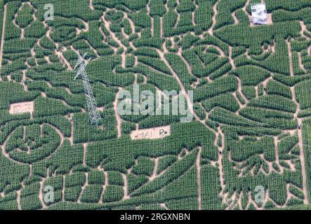 12. August 2023, Baden-Württemberg, Neustetten: Blick auf das Maislabyrinth Wolfenhausen. Das mehr als 30000 Quadratmeter große Labyrinth zeigt Geschichten von Max und Moritz. (Aufnahme aus einem Flugzeug) Foto: Thomas Warnack/dpa Stockfoto