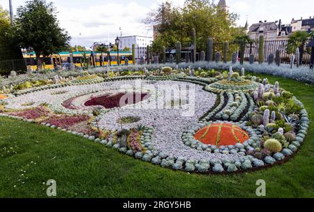 Die Kaktuspflanzung im Karl-Johans-Park im Zentrum von Norrköping, Schweden. Das diesjährige Thema feiert den 60. Jahrestag des Basketballclubs Norrköping Dolphins. Eine Straßenbahn im Hintergrund. Stockfoto