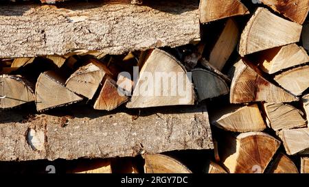 Gestapeltes Brennholz trocknet im Garten. Warten darauf, gehackt zu werden. Stockfoto