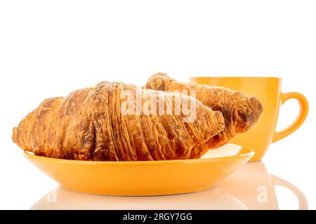 Zwei köstliche Croissants mit Schokoladenfüllung auf einer Untertasse mit Nahaufnahme einer Tasse, isoliert auf Weiß. Stockfoto