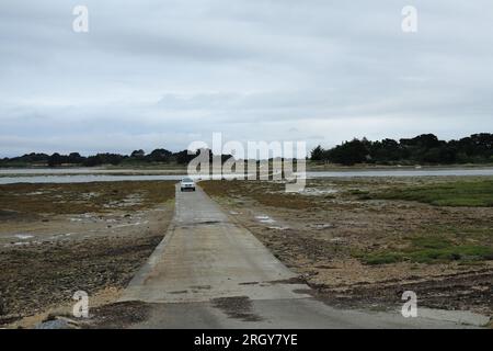 Auto überquert die U-Bahn-Straße zur Insel bei Ebbe und Blick über die Ile Tascon von Route de Tascon, Lasne, Saint Armel, Morbihan, Bretagne, Frankreich Stockfoto