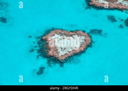 Heart Reef auf den Whitsunday Islands in Australien Stockfoto