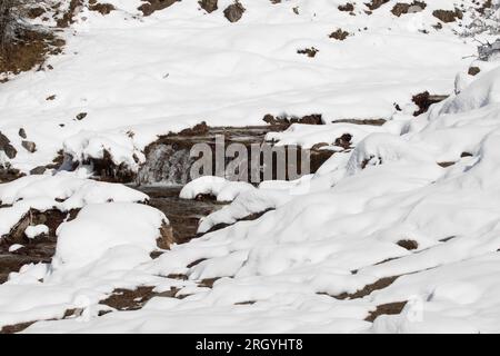 Schnee auf einem Feldbild bei Tageslicht Stockfoto