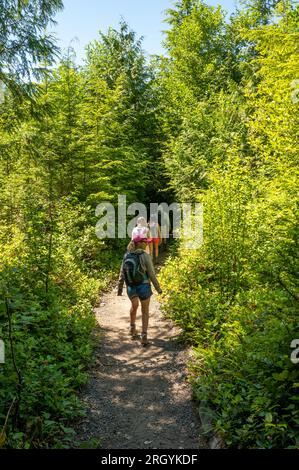 Am sonnigen Sommernachmittag könnt ihr auf dem Shi Shi Beach Trail im Olympic-Nationalpark in der Nähe von Neah Bay, Washington, wandern. Stockfoto