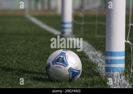 Avellaneda, Buenos Aires, Argentinien. 31. August 2013. Offizieller Spielball im Trainingszentrum „Tita Mattiussi“ des Racing Club. Verdienst: Fabideciri Stockfoto