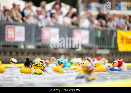 Hannover, Deutschland. 12. Aug. 2023. Die „Big Ducks“ in verschiedenen Formen schwimmen beim Entenrennen der Wohltätigkeitsorganisation am Nordufer des Maschsees. Das Entenrennen 12. auf dem Maschsee findet am vorletzten Tag des Maschsee-Festivals vom norddeutschen Knochenmark- und Stammzellspenderregister (NKR) statt. Kredit: Michael Matthey/dpa/Alamy Live News Stockfoto