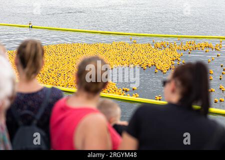 Hannover, Deutschland. 12. Aug. 2023. Zuschauer sehen das Entenrennen der Wohltätigkeitsorganisation am Nordufer des Maschsees. Das Entenrennen 12. auf dem Maschsee findet am vorletzten Tag des Maschsee-Festivals vom norddeutschen Knochenmark- und Stammzellspenderregister (NKR) statt. Kredit: Michael Matthey/dpa/Alamy Live News Stockfoto