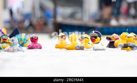 Hannover, Deutschland. 12. Aug. 2023. Die „Big Ducks“ in verschiedenen Formen schwimmen beim Entenrennen der Wohltätigkeitsorganisation am Nordufer des Maschsees. Das Entenrennen 12. auf dem Maschsee findet am vorletzten Tag des Maschsee-Festivals vom norddeutschen Knochenmark- und Stammzellspenderregister (NKR) statt. Kredit: Michael Matthey/dpa/Alamy Live News Stockfoto