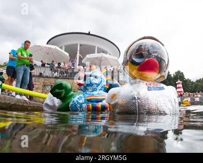 Hannover, Deutschland. 12. Aug. 2023. Die „Big Ducks“ schwimmen beim Entenrennen der Wohltätigkeitsorganisation, bevor das Rennen am Nordufer des Maschsees beginnt. Das Entenrennen 12. auf dem Maschsee findet am vorletzten Tag des Maschsee-Festivals vom norddeutschen Knochenmark- und Stammzellspenderregister (NKR) statt. Kredit: Michael Matthey/dpa/Alamy Live News Stockfoto