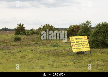 Ein Schild im New Forest, Hampshire, auf dem Besucher aufgefordert werden, Tiere nicht zu berühren oder zu füttern und Hunde auf Blei und unter CO zu halten Stockfoto