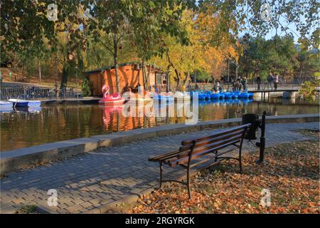Das Foto wurde in der ukrainischen Stadt Odessa aufgenommen. Das Bild zeigt eine Bank am See im Herbstpark der Stadt namens Victory Park. Stockfoto