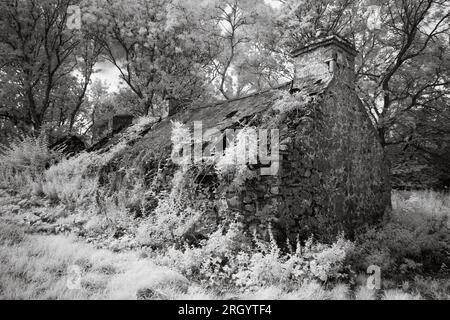 Ruiniertes Cottage in Infrarot Stockfoto