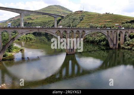 Brücken über den Douro Fluss östlich von Porto in der portugiesischen Weinregion, terrassenförmig angelegte Weinberge auf Hängen im Hintergrund, Peso da Regua, Portugal Stockfoto