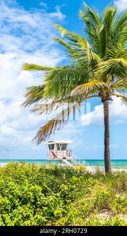 Strandpromenade am Meer mit Palmen an einem sonnigen Tag in Fort Lauderdale Stockfoto