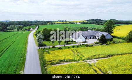 Aus der Sicht der Drohnen über Getreidelandwirte (Weizen oder Roggen oder Hafer) im erstaunlichen dänischen Odense-Viertel. Landhaus mit Garten daneben Stockfoto