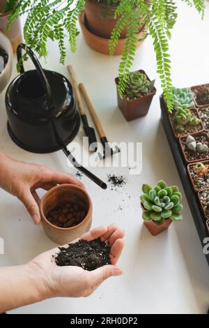 Geben Sie bei der Umtopfung oder Transplantation von Sukkulenten in Keramiktopf Boden für Pflanzen in einen Topf. Hand hält schwarzen Boden. Draufsicht. Hobby für Heimgärtner. Stockfoto