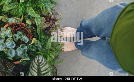 Banner. Eine Frau, die in der Nähe von Zimmerpflanzen im Freien barfuß steht. Draufsicht. Kreatives Geschäftskonzept. Selbstbewusste Floristin, Inhaber eines kleinen Unternehmens in Stockfoto