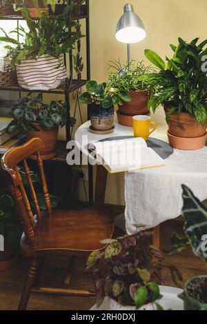 Grüne Entspannungszone im Zimmer mit offenem Buch und Topfblumen. Lesestätte in der Nähe von Zimmerpflanzen. Niemand. Boho-Stil. Umweltfreundliches Design in einem gemütlichen Haus Stockfoto