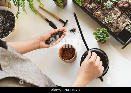 Geben Sie bei der Umtopfung oder Transplantation von Sukkulenten in Keramiktopf Boden für Pflanzen in einen Topf. Hand hält schwarzen Boden. Draufsicht. Hobby für Heimgärtner. Stockfoto