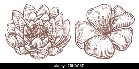 Blumen sind fertig. Lotus und Lily zeichnen. Eingravierte Darstellung. Vektordarstellung im Vintage-Stil Stock Vektor