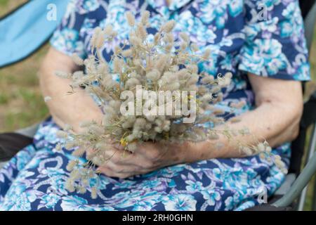 Nahaufnahme der zerknitterten Hände von Großmutter mit einem Blumenstrauß. Ältere Frau im Sitzen in der Natur. Großelterntag. Gra Stockfoto