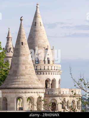 Architekturdetails aus dem Burgviertel in Budapest Stockfoto