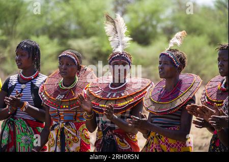 Eine Gruppe von Pokot-Frauen in traditionellen Kleidern, die singen und tanzen, Kenia Stockfoto