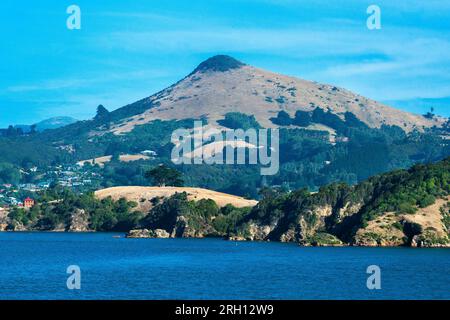 Harbour Cone, Otago Peninsula, Otago Harbour, Dunedin, South Island, Neuseeland Stockfoto