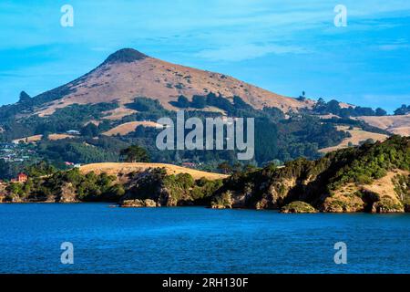 Harbour Cone, Otago Peninsula, Otago Harbour, Dunedin, South Island, Neuseeland Stockfoto