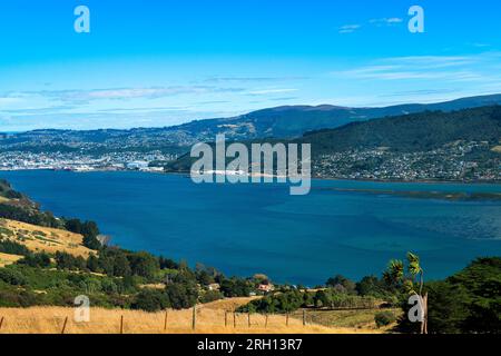 Blick auf den Hafen von Otago von Highcliff Road Overlook, Otago Peninsula, Dunedin, South Island, Neuseeland Stockfoto