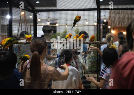 Bangkok, Thailand. 12. Aug. 2023. Auf der Ausstellung „PET EXPO CHAMPIONSHIP 2023" im Queen Sirikit National Convention Center, Ratchadaphisek Road, Bangkok, wurden am 12. August 2023 Papageienarten ausgestellt. (Kreditbild: © Teera Noisakran/Pacific Press via ZUMA Press Wire) NUR REDAKTIONELLE VERWENDUNG! Nicht für den kommerziellen GEBRAUCH! Stockfoto